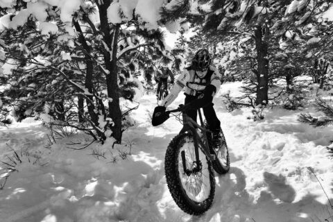 Fat bike in the snow