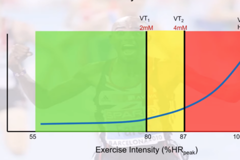 three-zone model of polarized training Dr. Stephen Seiler