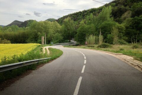 empty road through some trees