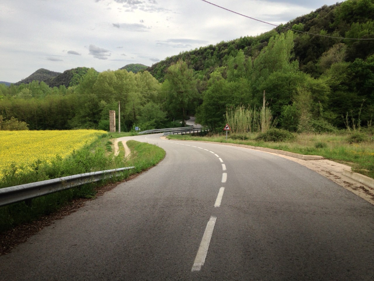 empty road through some trees