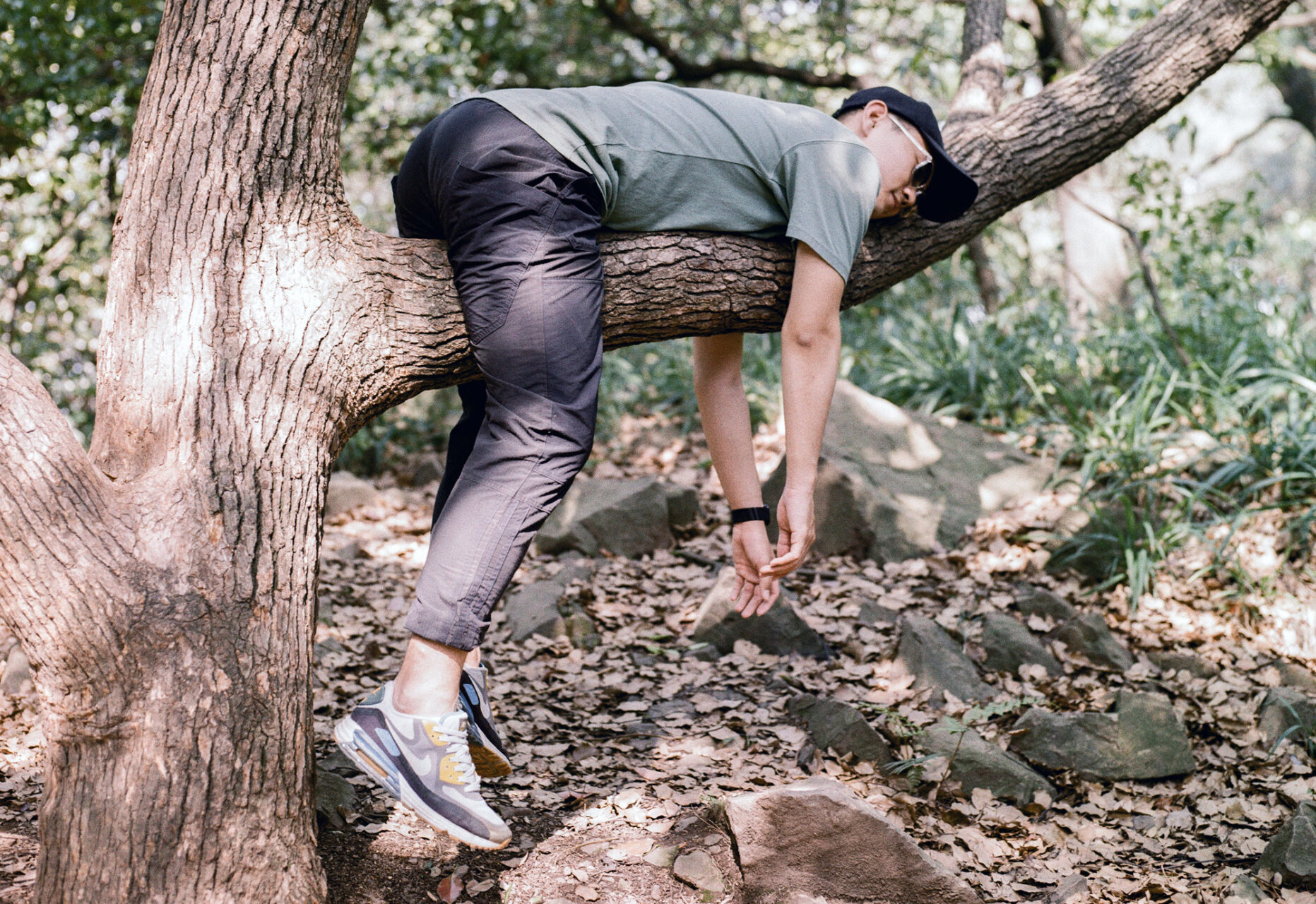 resting in a tree offseason relaxing detraining for endurance recovery
