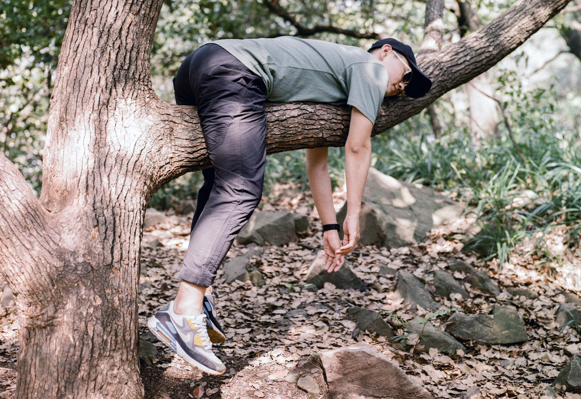 resting in a tree offseason relaxing detraining