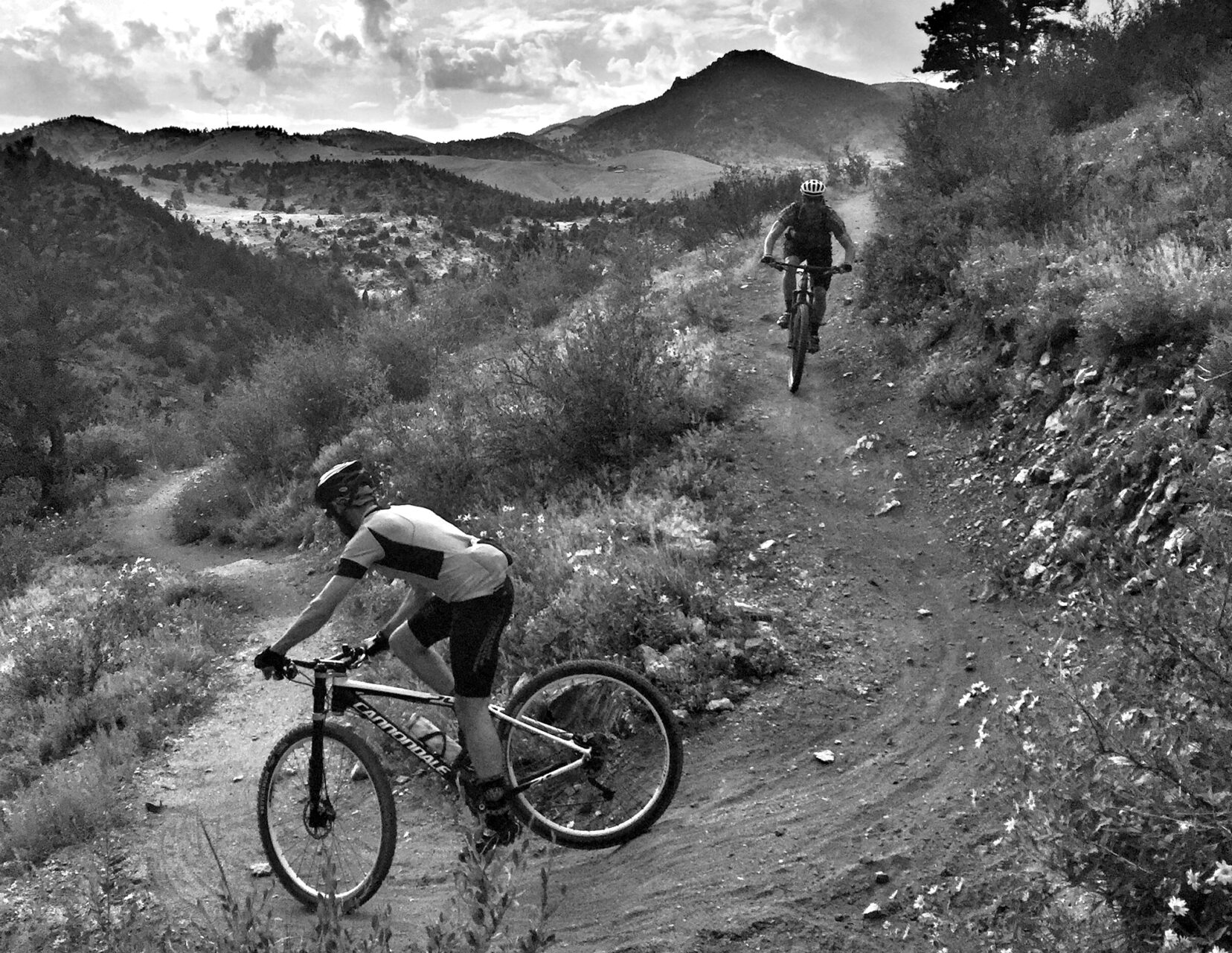 mountain bike Colorado