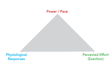 holy trinity power physiology perception Seiler