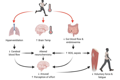 winter guide to indoor cycling