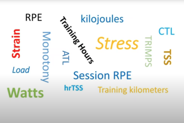 training scores and metrics with Dr. Stephen Seiler