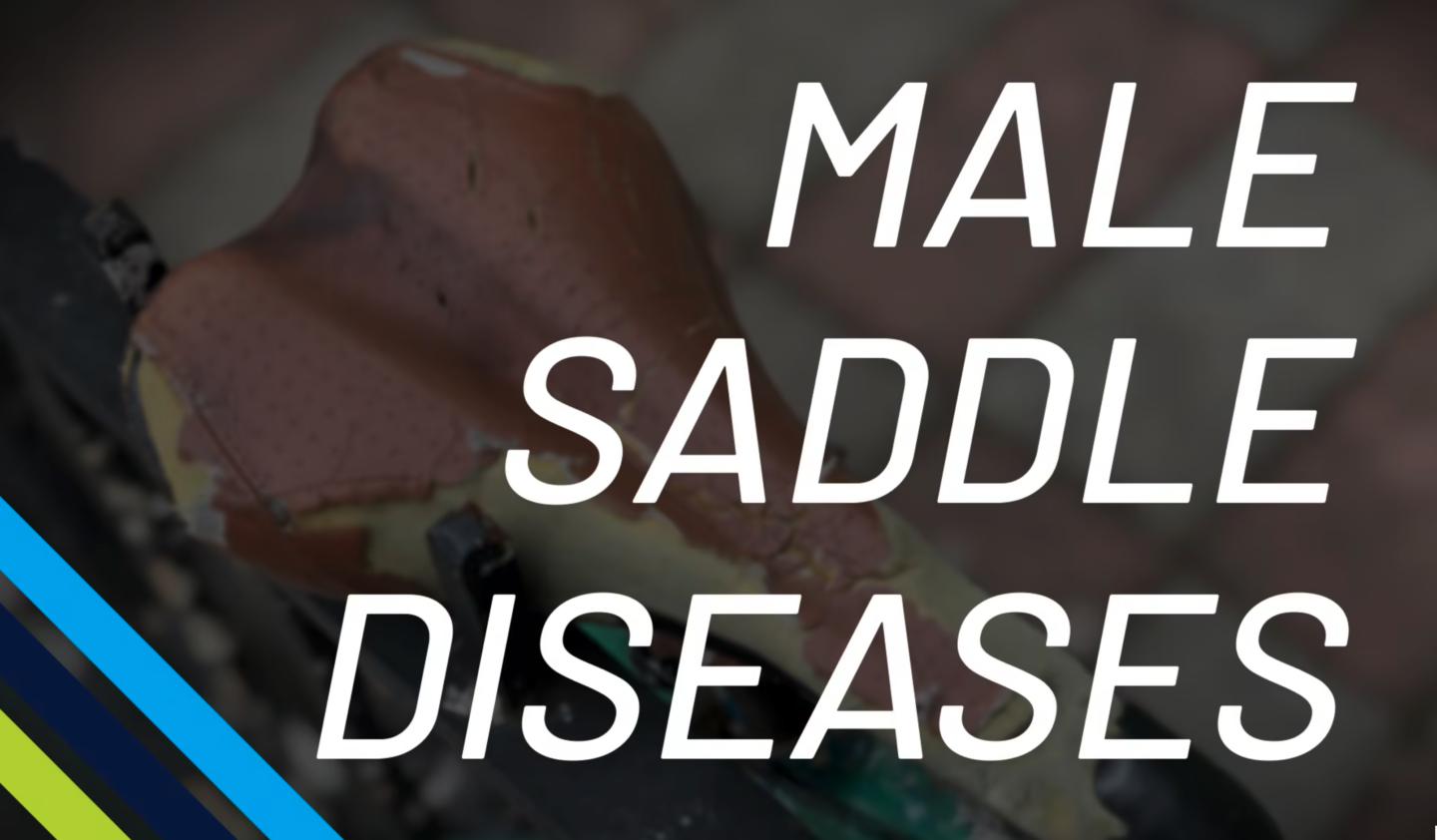 Saddle Sores and Other Male "Saddle Diseases" Fast Talk Laboratories
