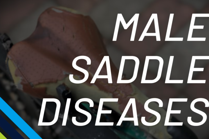 Male Saddle Diseases Andy Pruitt