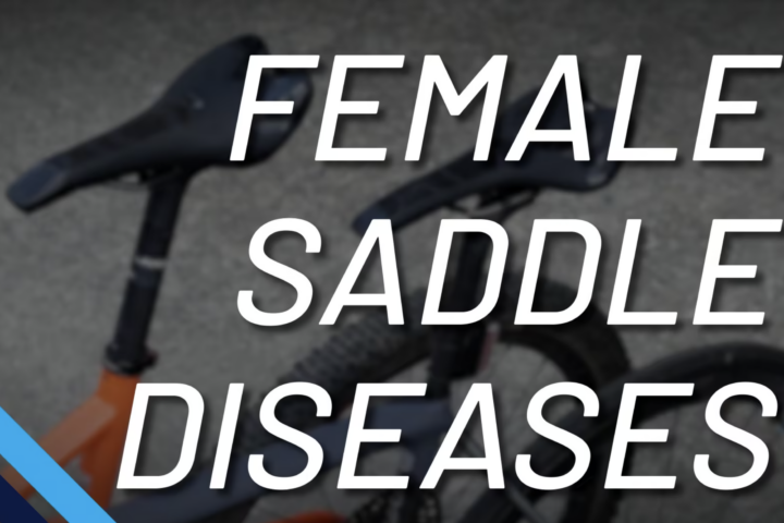 Female Saddle Diseases Andy Pruitt