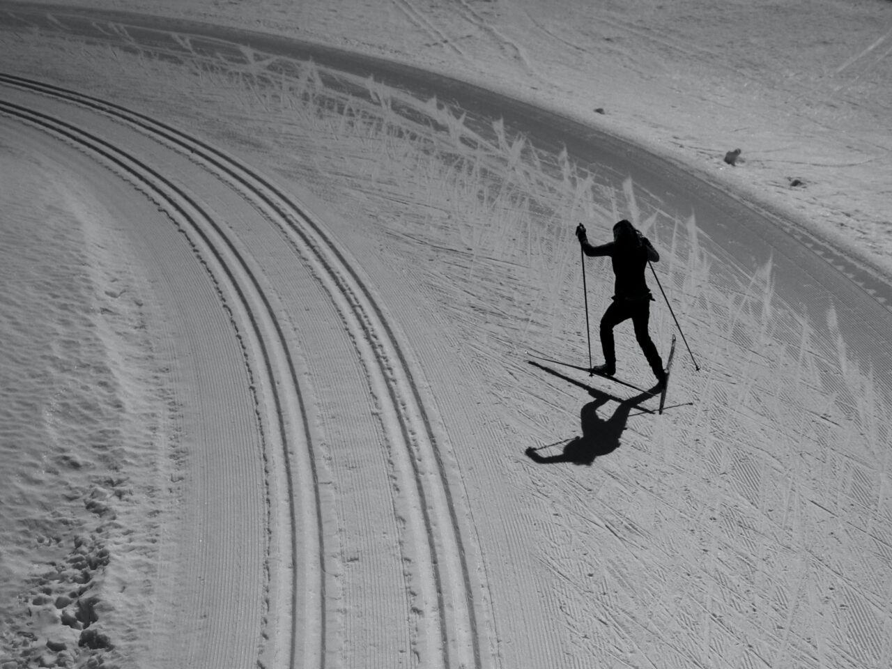 cross-country skiing