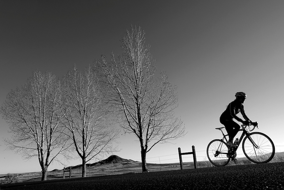 A cyclist rides a bicycle near Boulder Reservoir in Niwot with trees and Haystack Mountain