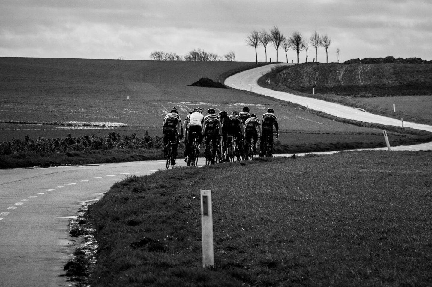 group of cyclists