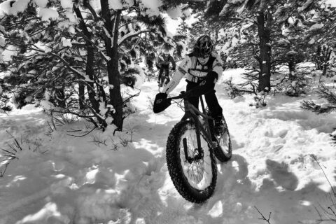 A cyclist rides a fat tire bike through a snowy forest.