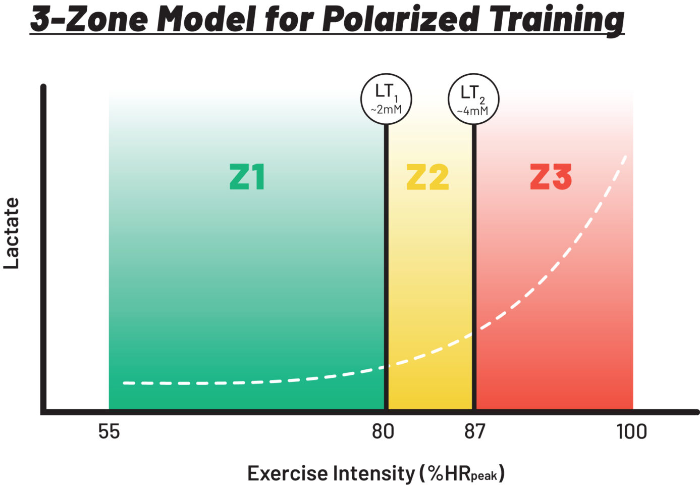 Graphic showing how LT1 and LT2 define 3 training zones