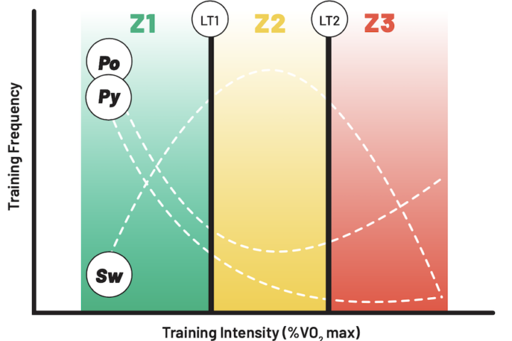 a graphic that compares the training intensity and frequency of polarized, sweet spot, and pyramidal training