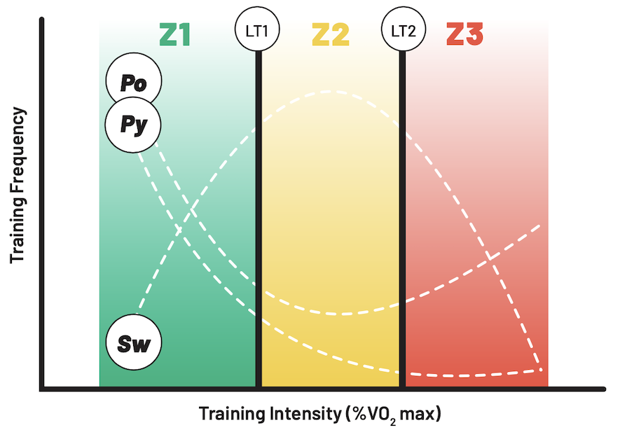 a graphic that compares the training intensity and frequency of polarized, sweet spot, and pyramidal training