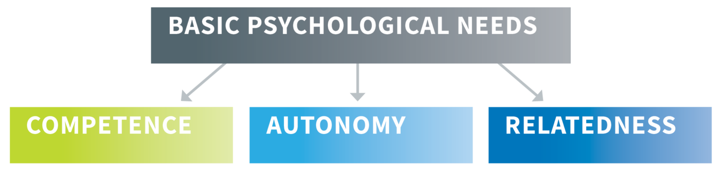 text-only graphic displaying three basic psychological needs