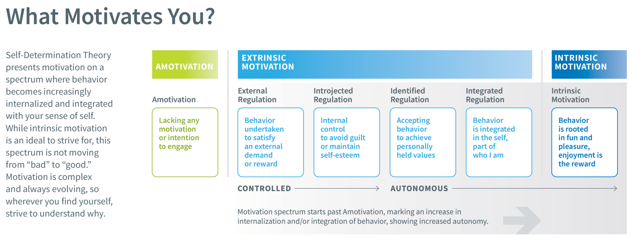 Understanding Motivation and How It Affects Performance