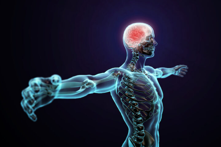Illustration of a man with transparent skin holding his arms out, with his brain glowing red