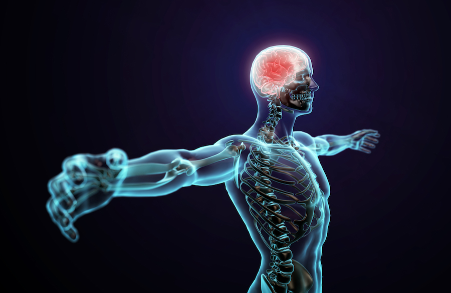 Illustration of a man with transparent skin holding his arms out, with his brain glowing red
