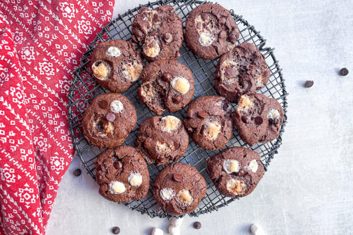 Hot Cacao Cookies Birds Eye