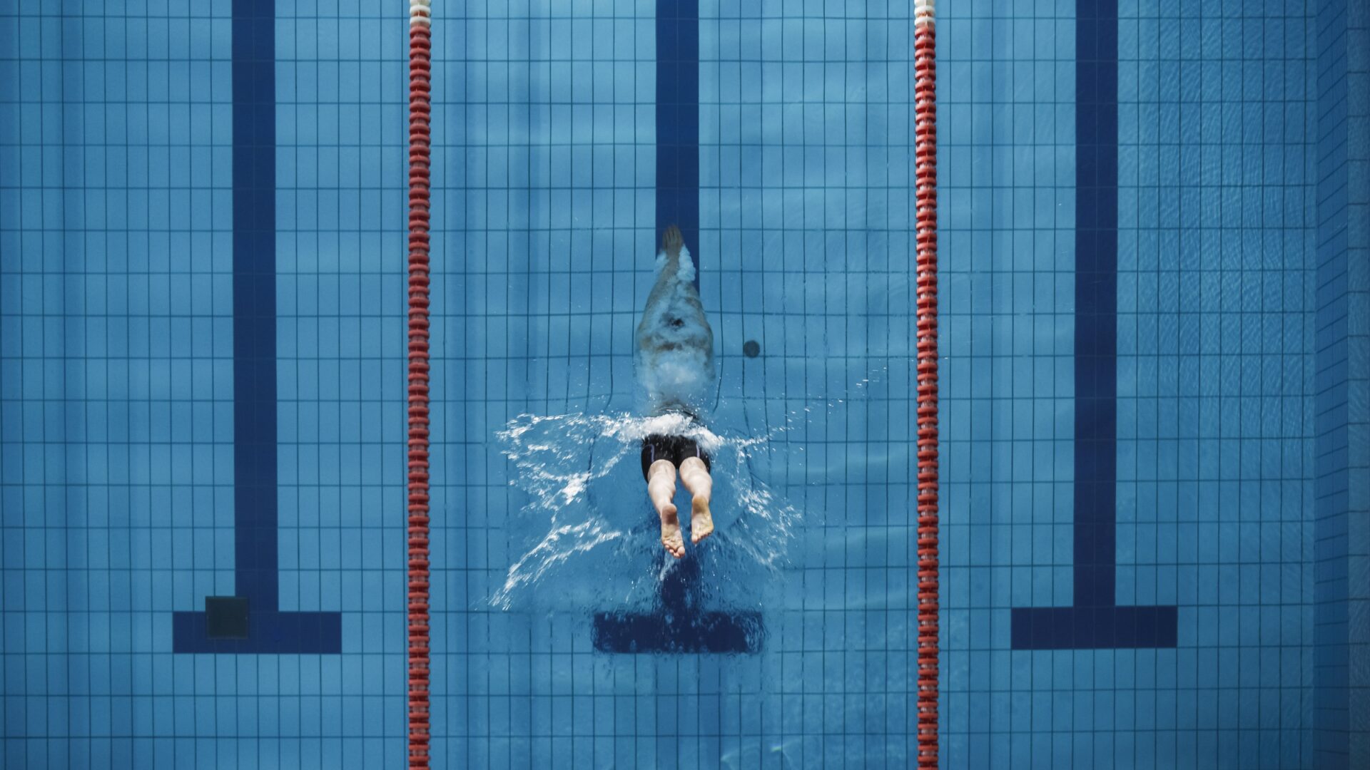 Man diving into a swimming lane