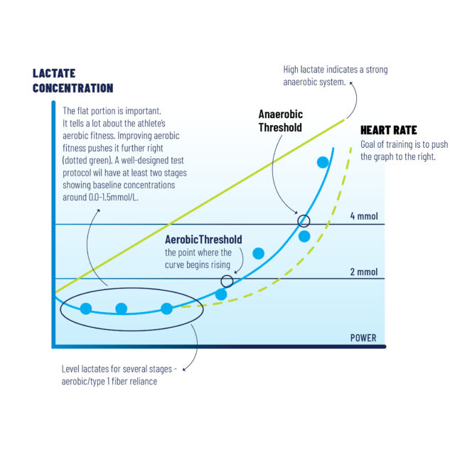The Endurance Athlete’s Guide to VO2max and Lactate Tests
