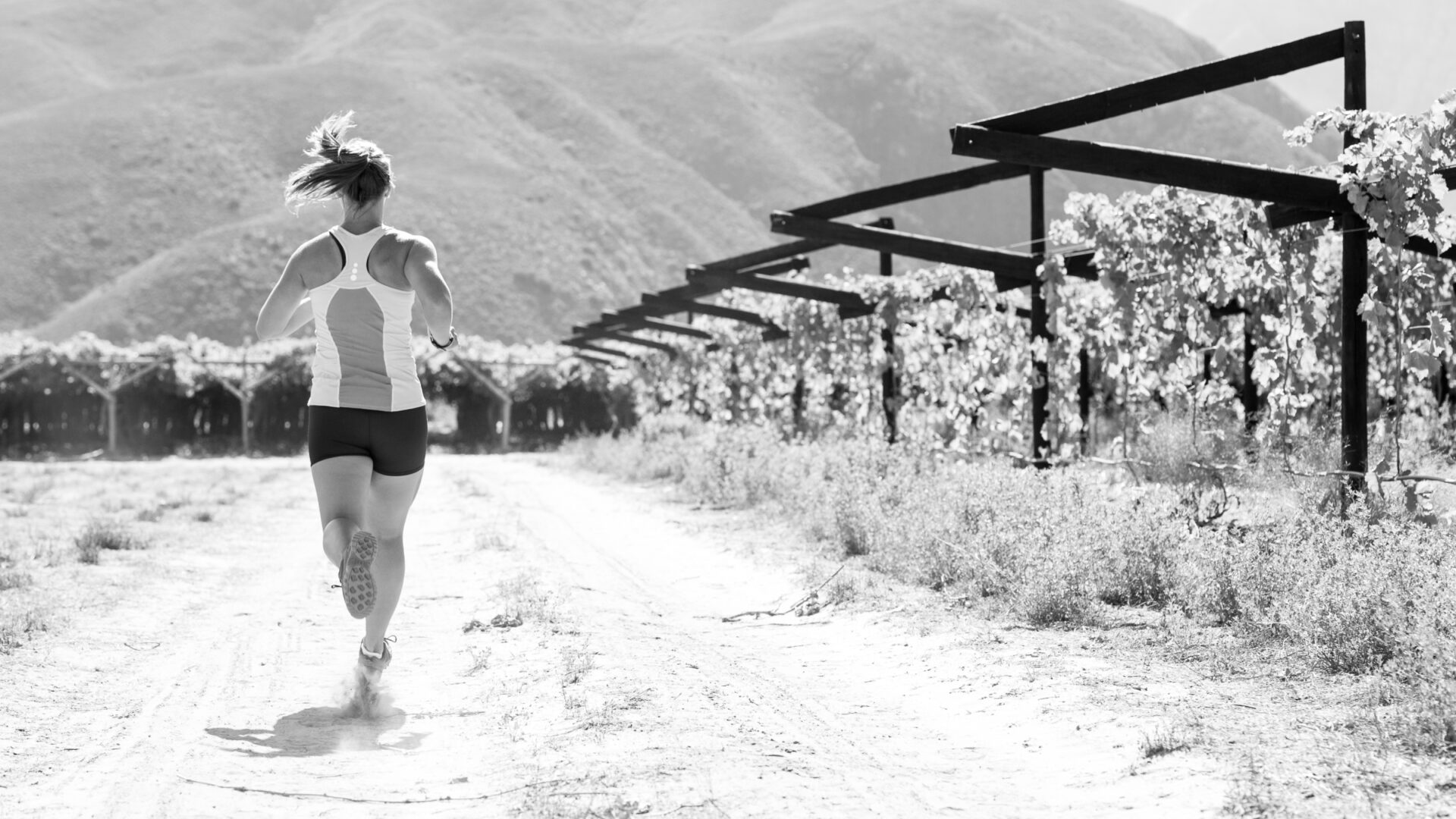 Black-and-white image of a woman running past a vineyard