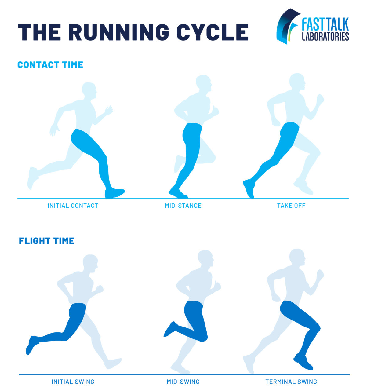 Graphic showing the different phases in the running cycle.