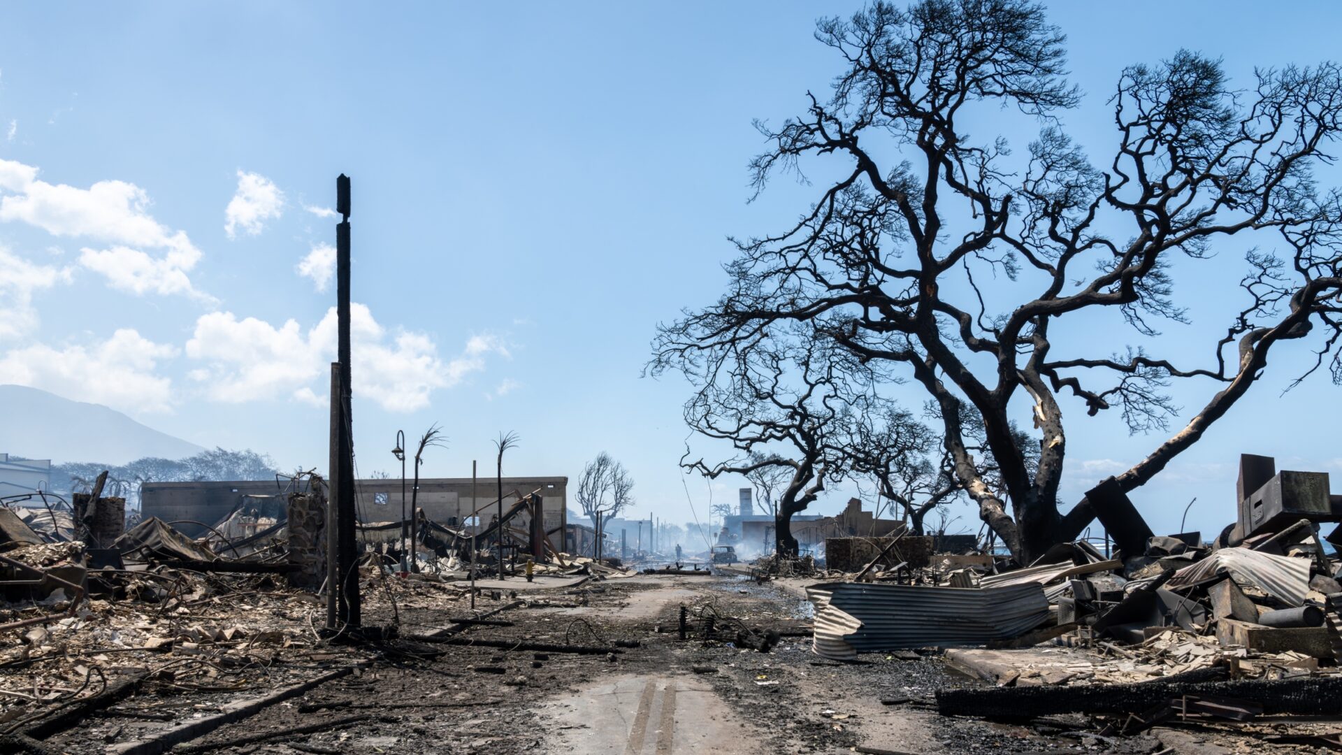 View down a debris-filled street with a burnt tree and collapsed building.