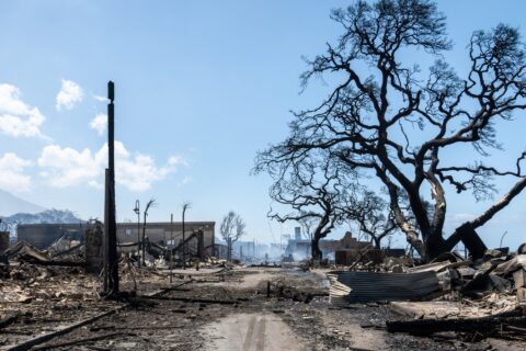 View down a debris-filled street with a burnt tree and collapsed building.