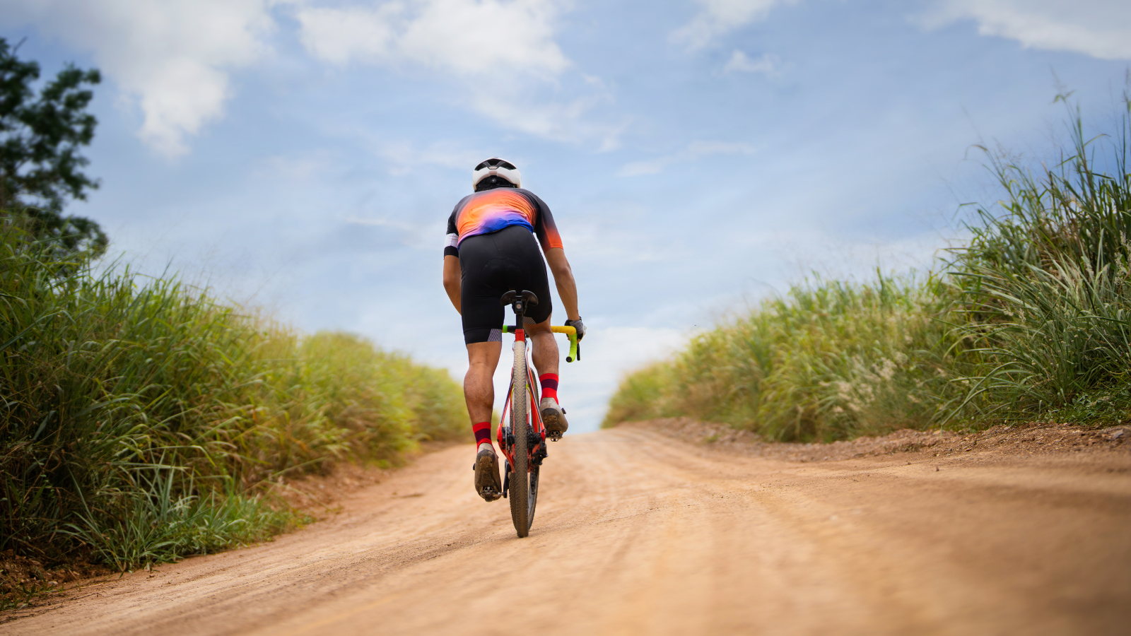 Cyclist riding away from the camera on a gravel road